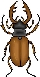 Жуки в клип-арте сайта &quot;ЗооКлуб&quot; (библиотека схематичных и шутливых  рисунков жуков)